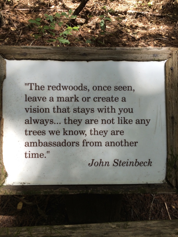Let's be honest: Mr. Steinbeck's words are probably the most helpful here.